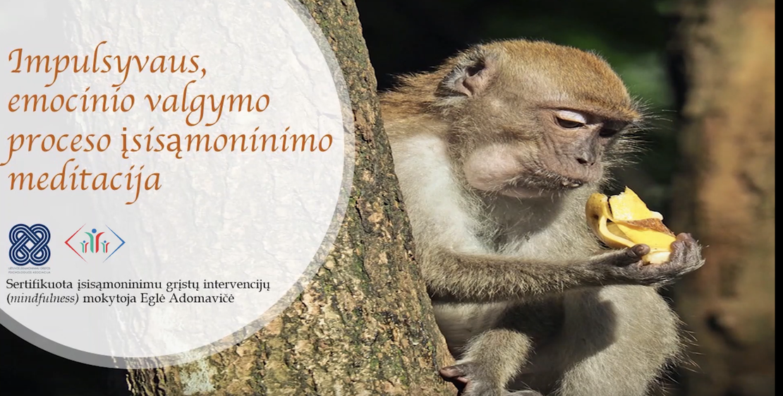 Impulsyvaus, emocinio valgymo proceso įsisąmoninimo meditacija